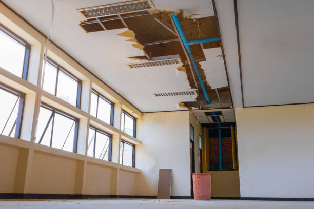 Best 24-hour water damage restoration  in Trent Woods, NC