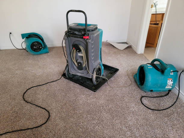 Best Water damage restoration mold remediation  in Trent Woods, NC