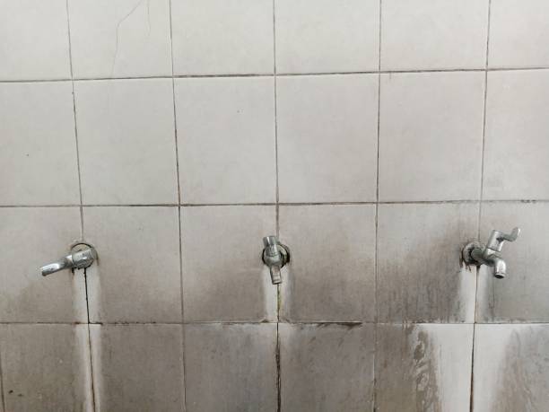 Best Residential water damage restoration  in Trent Woods, NC