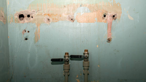 Best Water damage repair service  in Trent Woods, NC