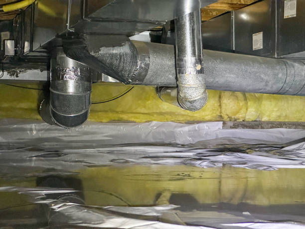 Best Water damage contractors near me  in Trent Woods, NC