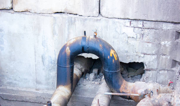 Best Mold removal after water damage  in Trent Woods, NC