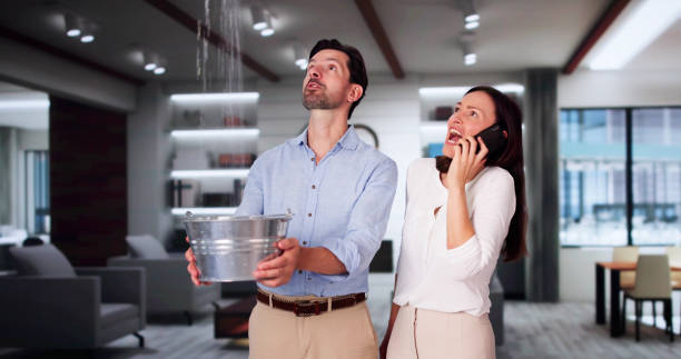  Trent Woods, NC Water damage restoration Pros